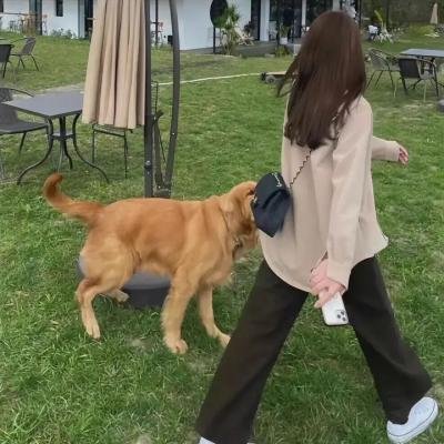 她和她的她 在线观看