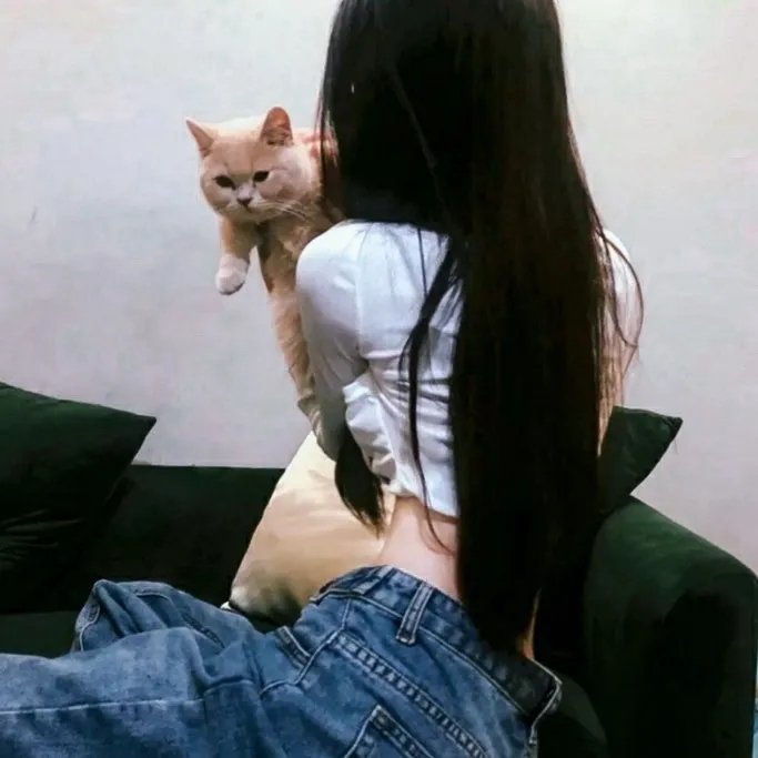 加斯帕24小时 在线观看